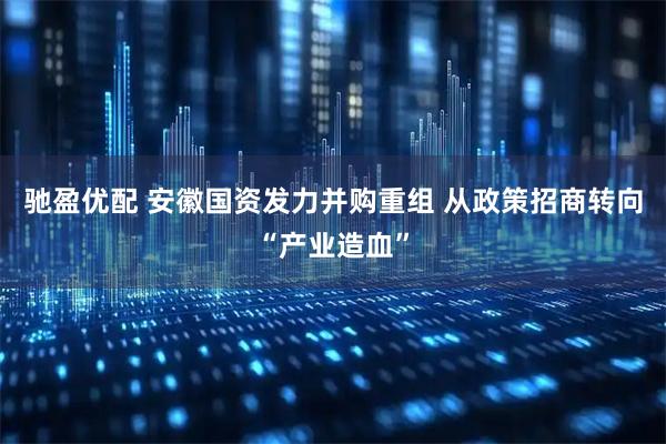 驰盈优配 安徽国资发力并购重组 从政策招商转向“产业造血”