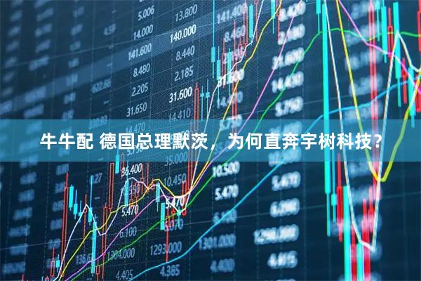 牛牛配 德国总理默茨，为何直奔宇树科技？
