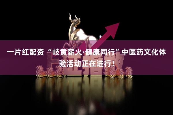 一片红配资 “岐黄薪火·健康同行”中医药文化体验活动正在进行！