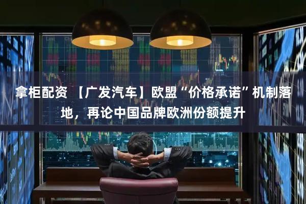 拿柜配资 【广发汽车】欧盟“价格承诺”机制落地，再论中国品牌欧洲份额提升