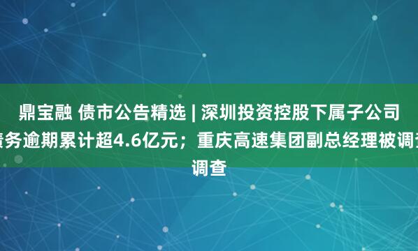 鼎宝融 债市公告精选 | 深圳投资控股下属子公司债务逾期累计超4.6亿元；重庆高速集团副总经理被调查