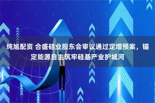 纯旭配资 合盛硅业股东会审议通过定增预案，锚定能源自主筑牢硅基产业护城河