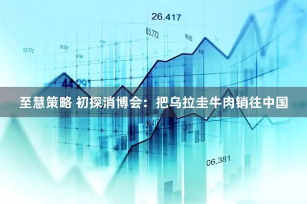 至慧策略 初探消博会：把乌拉圭牛肉销往中国