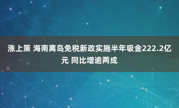 涨上策 海南离岛免税新政实施半年吸金222.2亿元 同比增逾两成