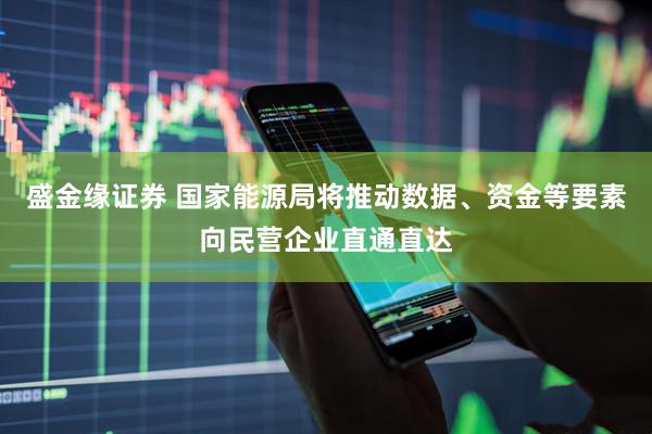 盛金缘证券 国家能源局将推动数据、资金等要素向民营企业直通直达