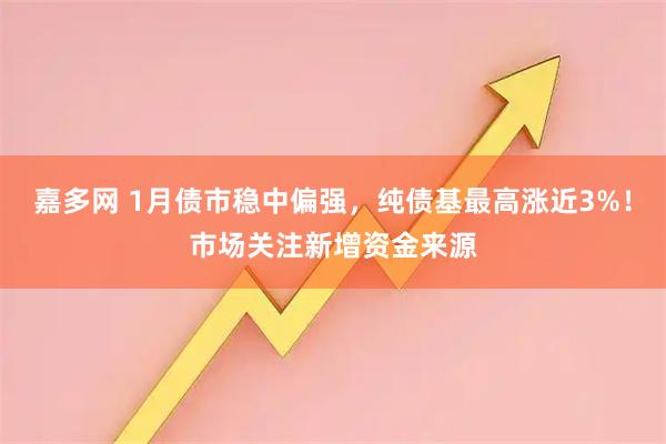 嘉多网 1月债市稳中偏强，纯债基最高涨近3%！市场关注新增资金来源