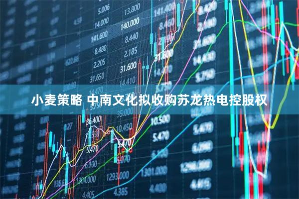 小麦策略 中南文化拟收购苏龙热电控股权