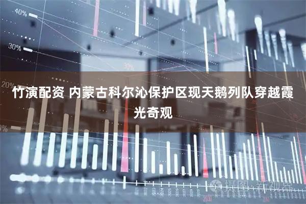 竹演配资 内蒙古科尔沁保护区现天鹅列队穿越霞光奇观