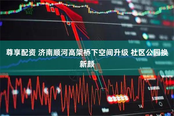 尊享配资 济南顺河高架桥下空间升级 社区公园换新颜
