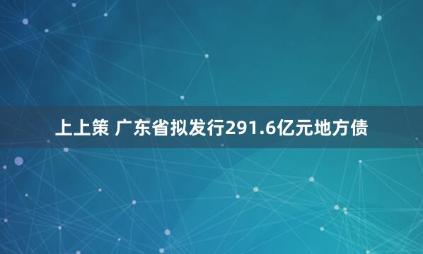 上上策 广东省拟发行291.6亿元地方债