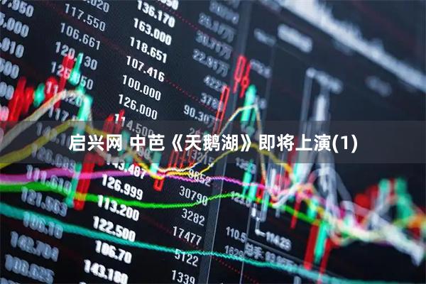启兴网 中芭《天鹅湖》即将上演(1)
