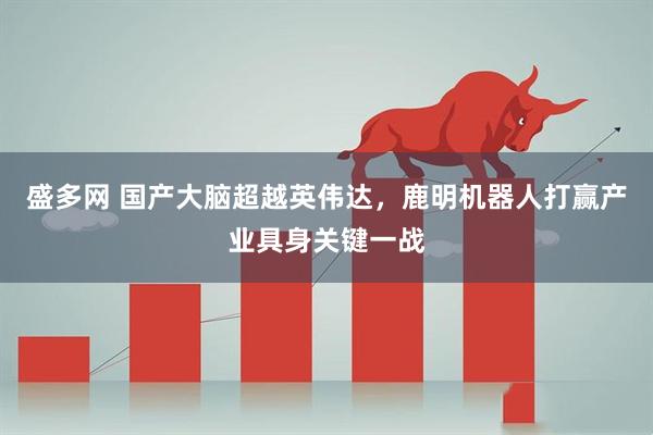 盛多网 国产大脑超越英伟达，鹿明机器人打赢产业具身关键一战
