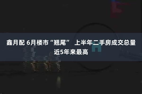 鑫月配 6月楼市“翘尾”  上半年二手房成交总量近5年来最高