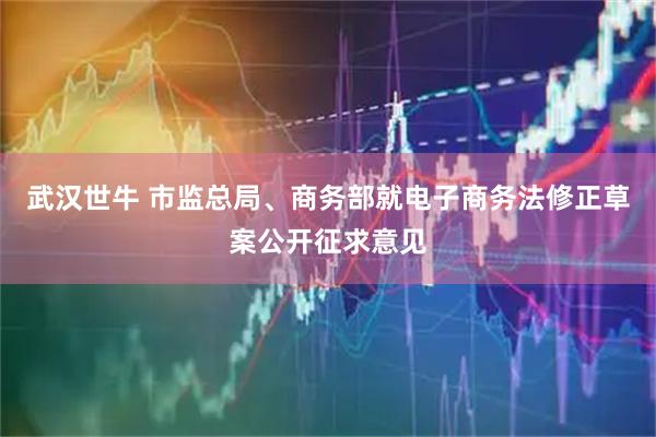 武汉世牛 市监总局、商务部就电子商务法修正草案公开征求意见