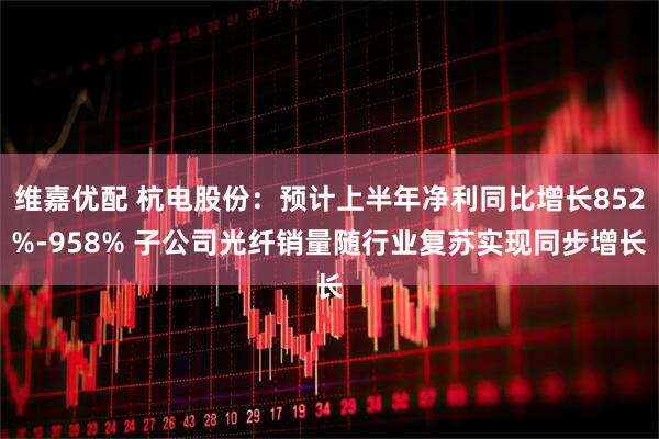 维嘉优配 杭电股份：预计上半年净利同比增长852%-958% 子公司光纤销量随行业复苏实现同步增长